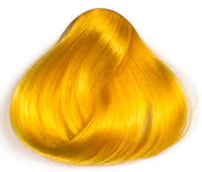 HC Yellow 2.png